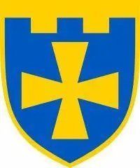 Наліпка 115-та окрема бригада територіальної оборони (Полтавська область) 17245 фото