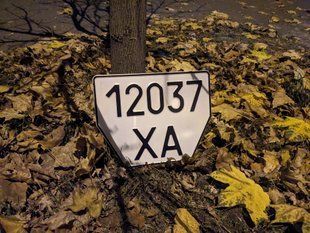 4342 фото